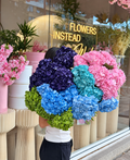 Exclusive Hydrangeas / Ексклузивни хортензии